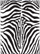 Zebra skin guitar wrap